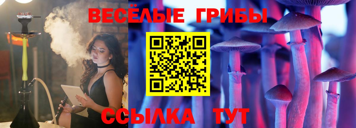 Мытищи  Галлюциногенные грибы GOLDEN TEACHER  Вход с VPN 
